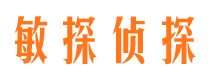 纳雍侦探公司